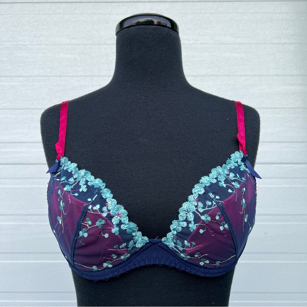 Aubade Embroidered Demi Bra in Blue and Pink, 34C